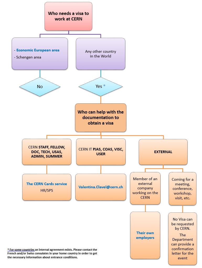 Schema showing which services prepare the visa depending on the type of contract of the newcomer